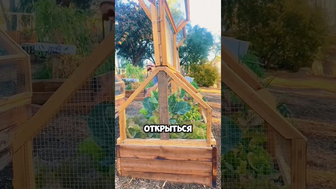 Современные парники #дача #сад #огород