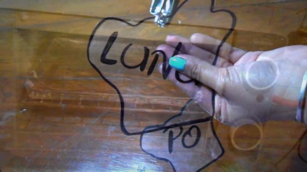 TIP: PLACA DE IDENTIFICACION Y COLLAR FACIL Y RAPIDO  PARA MASCOTA  | ANIMALTIME🐾