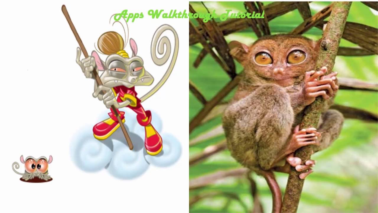 26 Best Fiends That Actually Exist In Real Life
