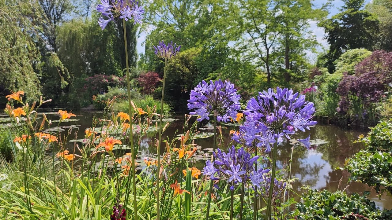 Giverny... Le jardin/paradis de Claude Monet 🪷🥰🪷👍♥️