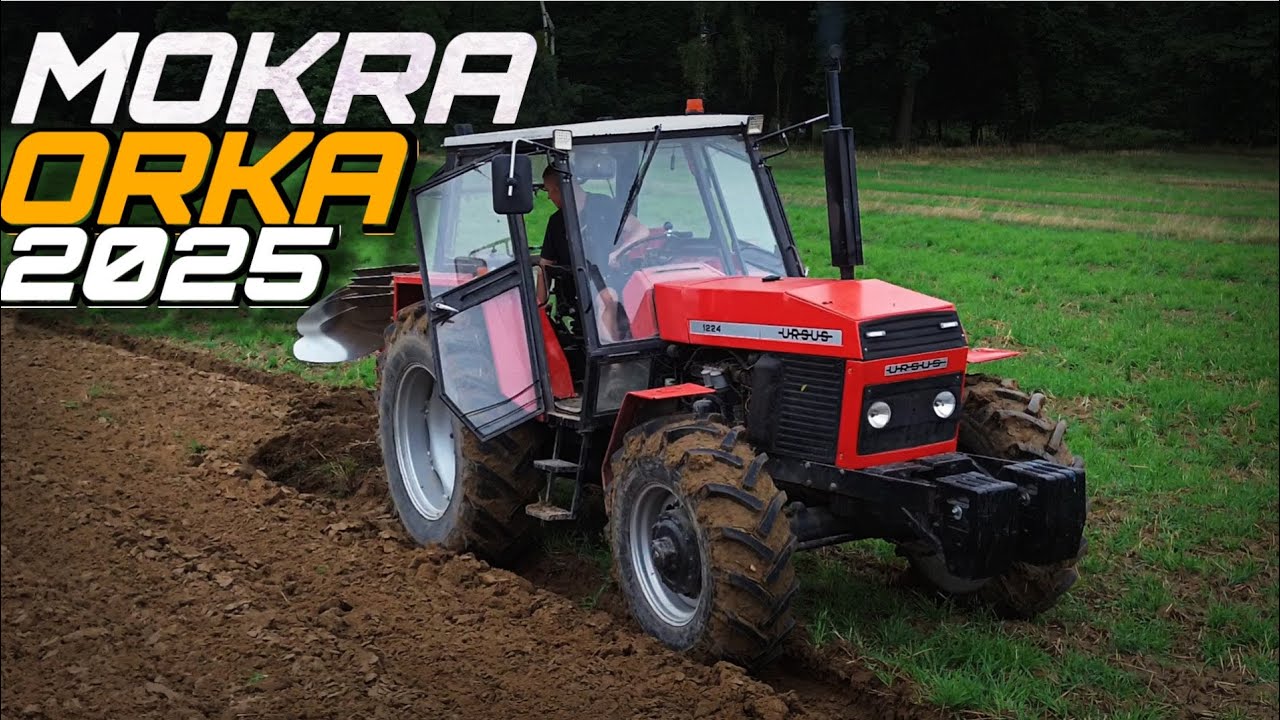 MOKRA ORKA 2025🌾URSUS&GREGOIRE🔥