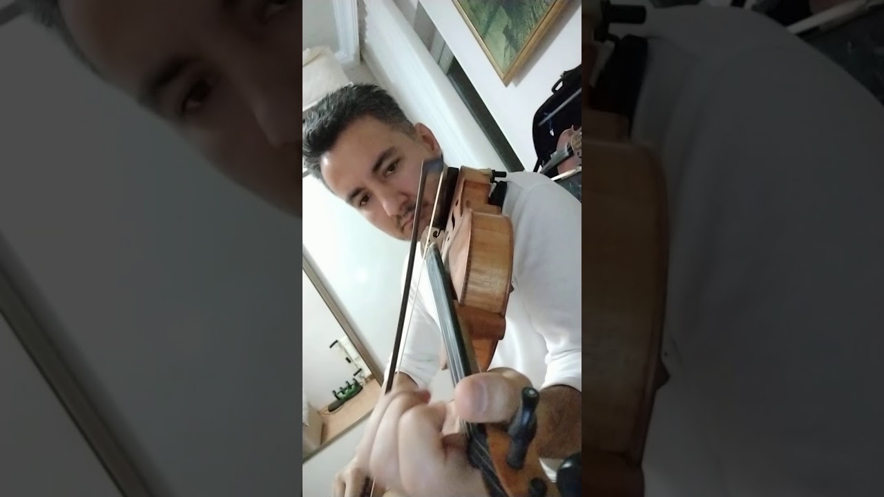 İkinci Bahar (keman)🎻