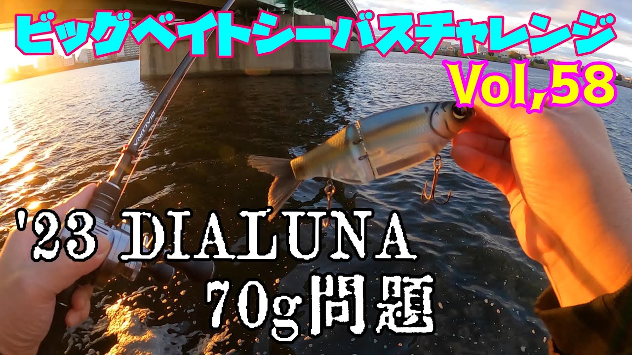 【ビッグベイトシーバスチャレンジ Vol,58】70g問題･･･
