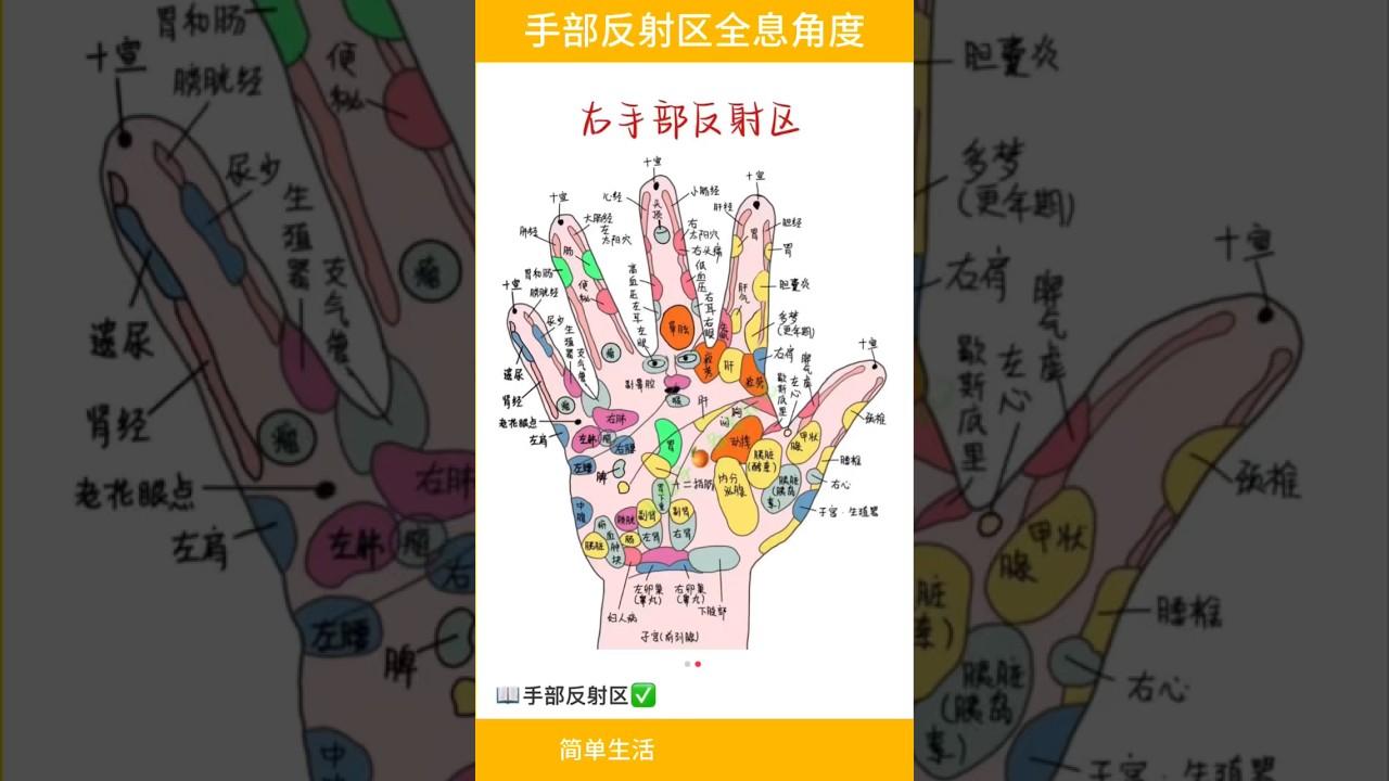 手部反射區全息圖 