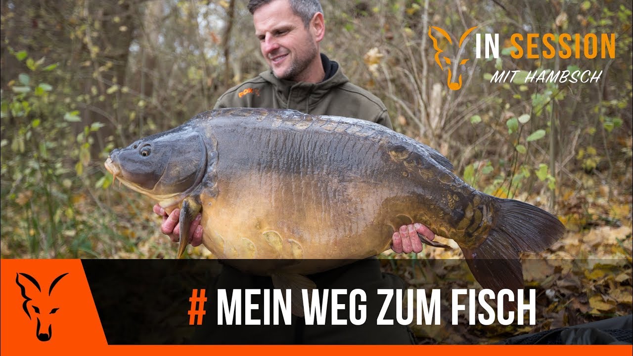 ***Karpfenangeln TV*** 