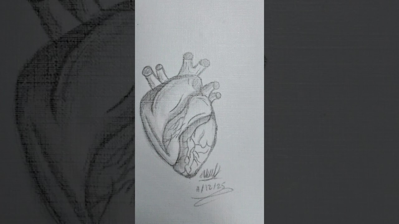 Whole heart