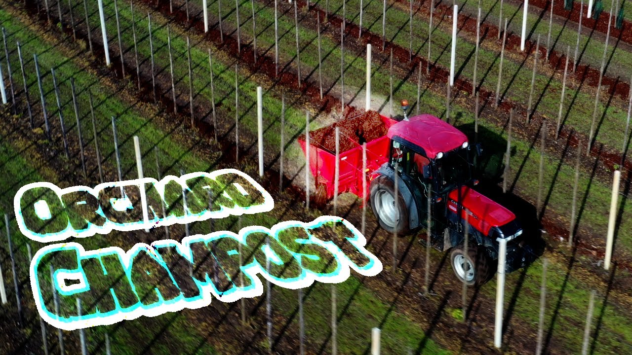 Spreading orchard Champost | With a cowfeeder?¿?