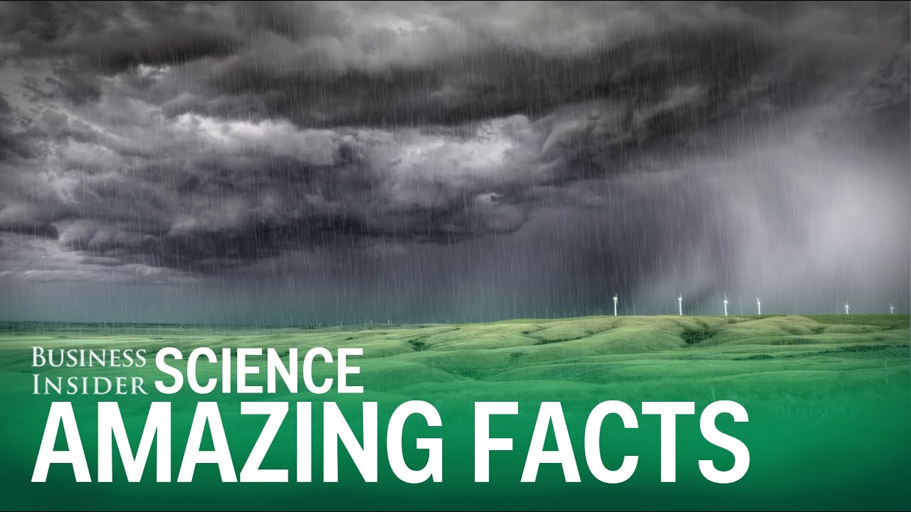 5 Amazing Science Facts
