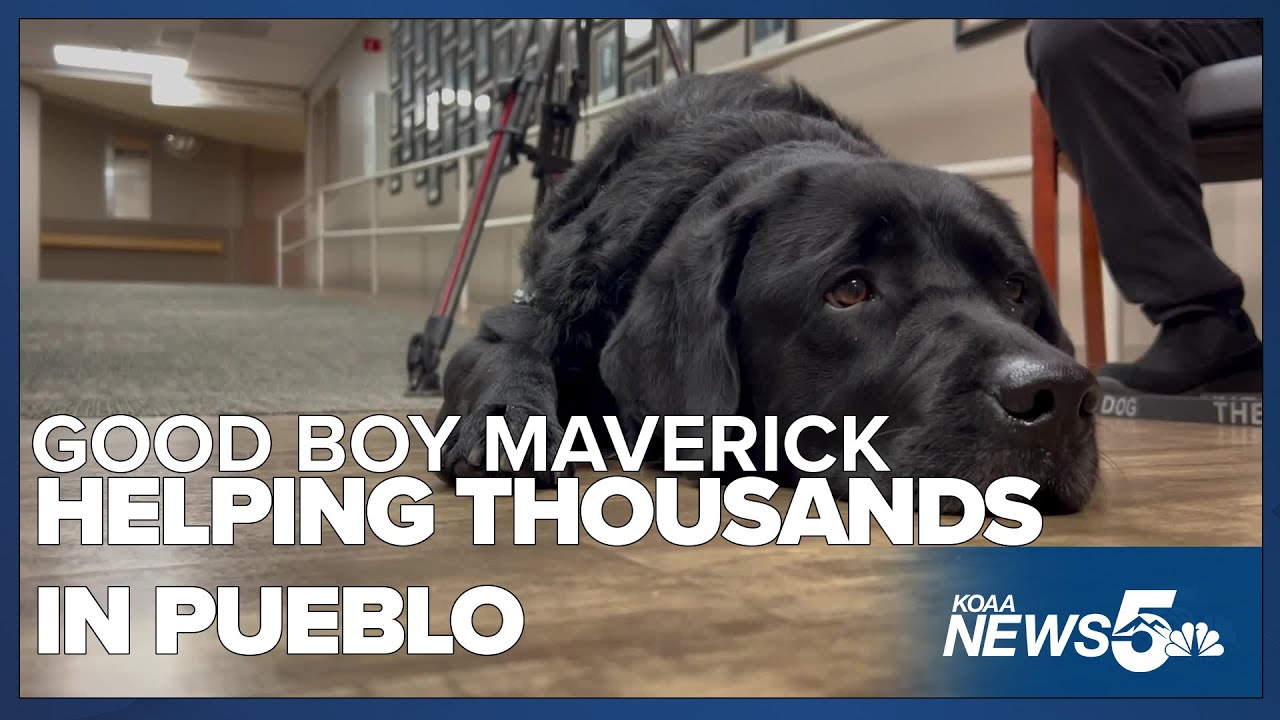 Therapy dog and pastor helping thousands at UCHealth Parkview hospital in Pueblo