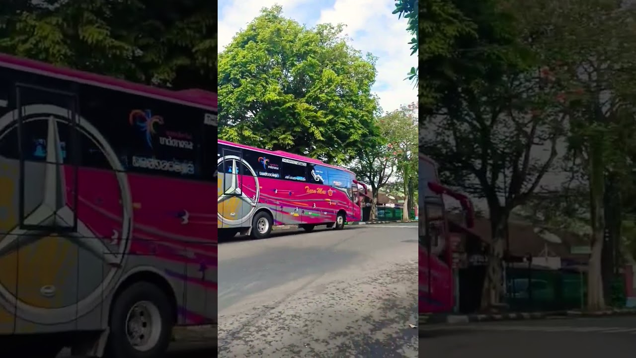 𝚃𝙸𝙰𝚁𝙰 𝙼𝙰𝚂 #bus #tiaramas #busmania #busmaniacomunity #bismania #bismaniacommunity #akap #busakap