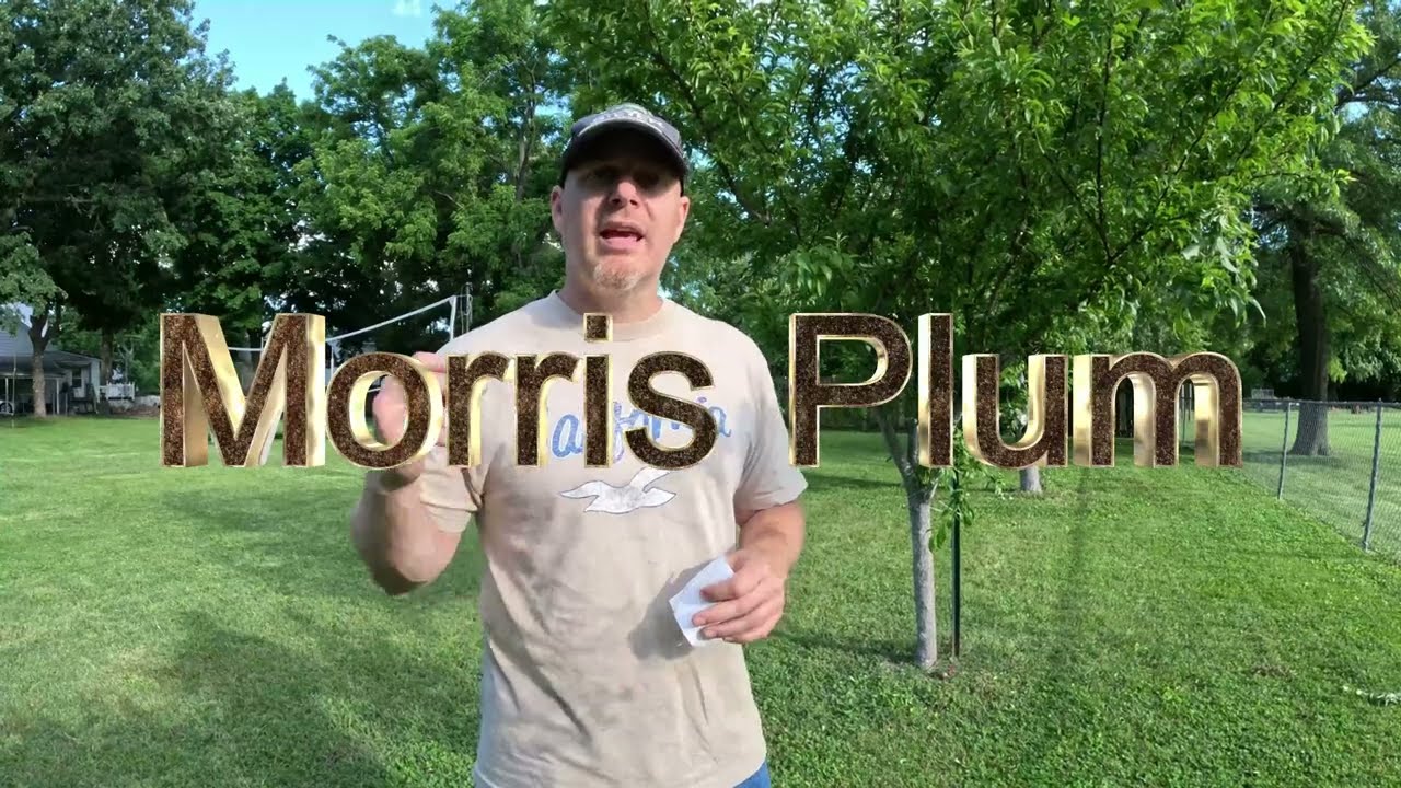 Fruit Tree Tour! ALL our Fruit Trees Garden Tour! Illinois Backyard Orchard!