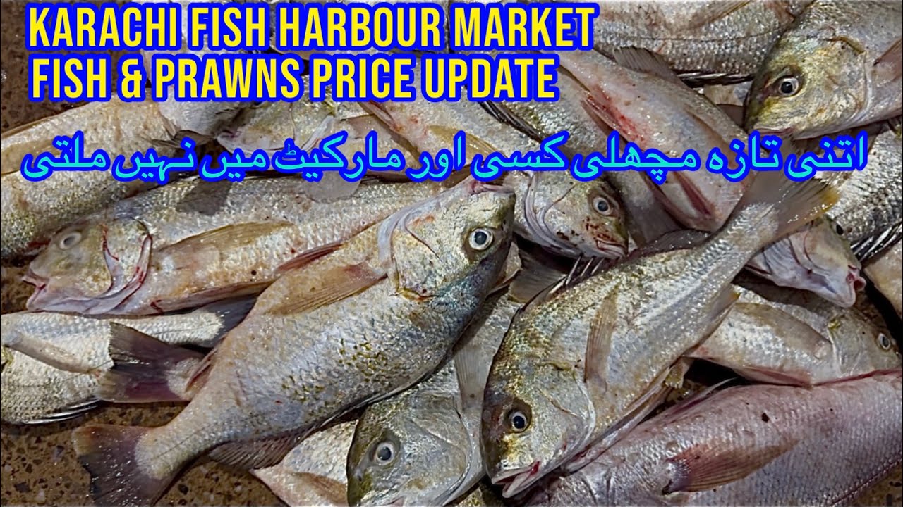 FISH & PRAWNS PRICE UPDATE KARACHI FISH HARBOUR MARKET February 4, 2026