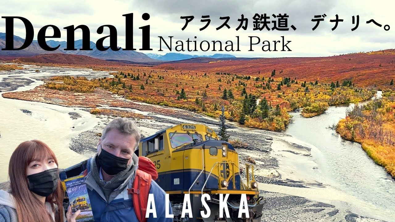 【アラスカ鉄道】デナリ国立公園に広がる紅葉の絨毯｜#50 Bus tour and bar hopping, Denali