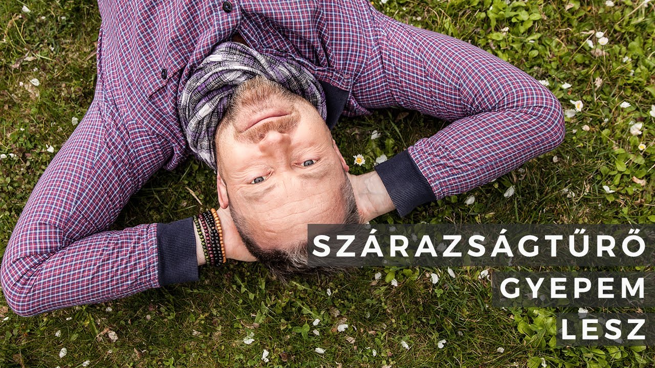 Szárazságtűrő gyep felülvetéssel