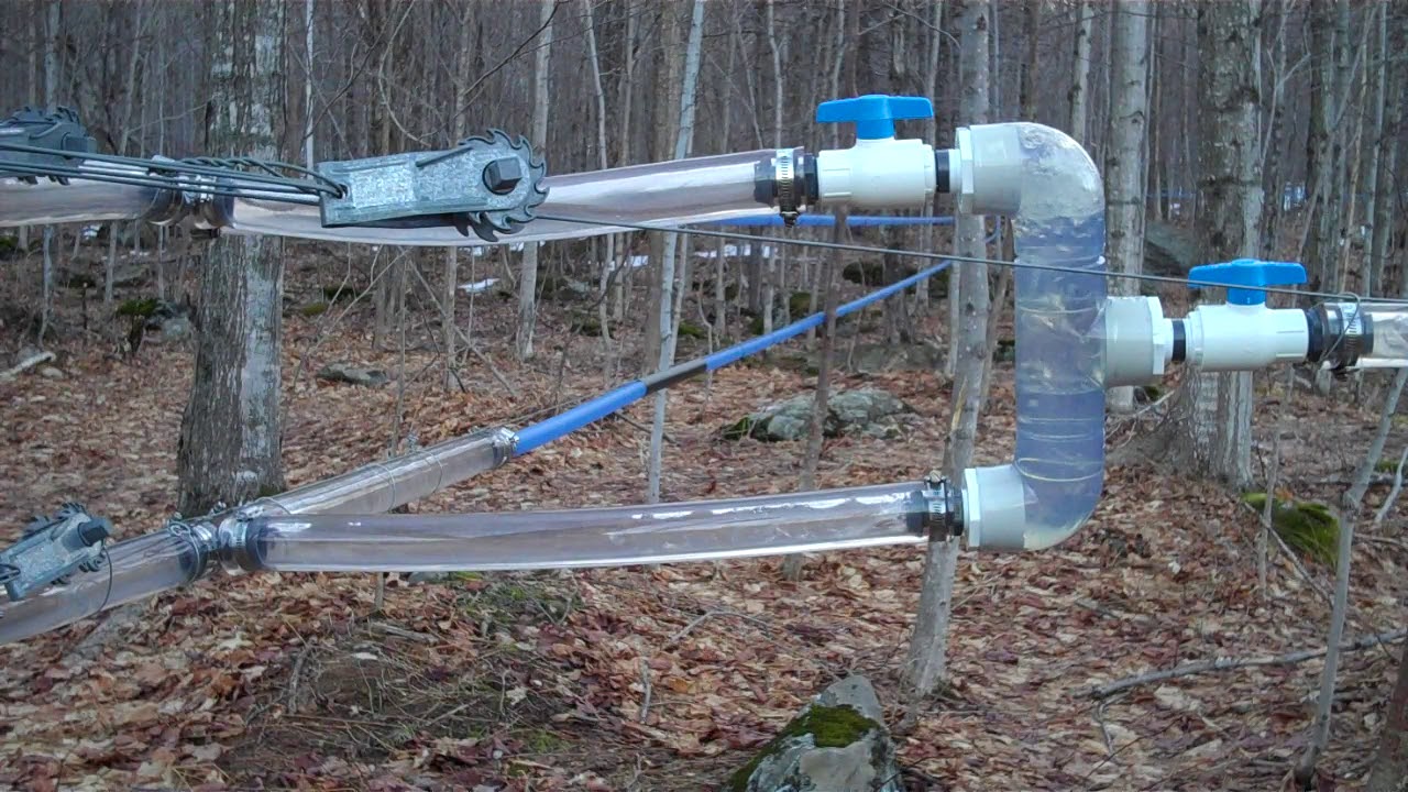 maple dual-mainline (wet-dry) system with wet line frozen and sap running down dry line