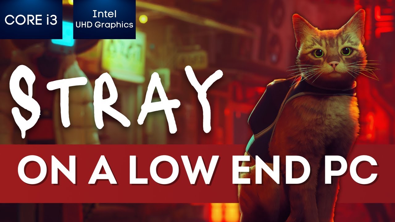 STRAY on Low End PC | NO Graphics Card | i3