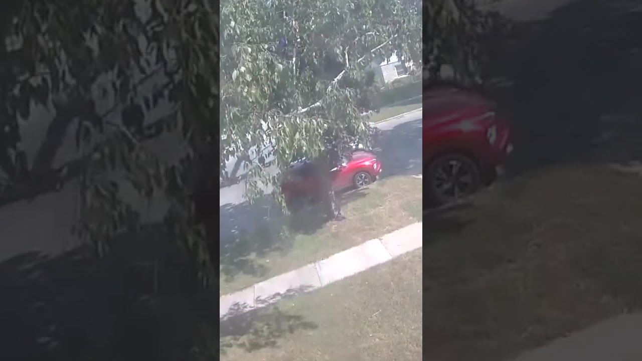 Ring doorbell captures car theft in broad daylight near Milwaukee-Wauwatosa border