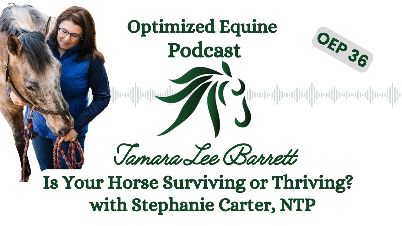 OEP 36: Is Your Horse Surviving or Thriving? with Stephanie Carter, NTP