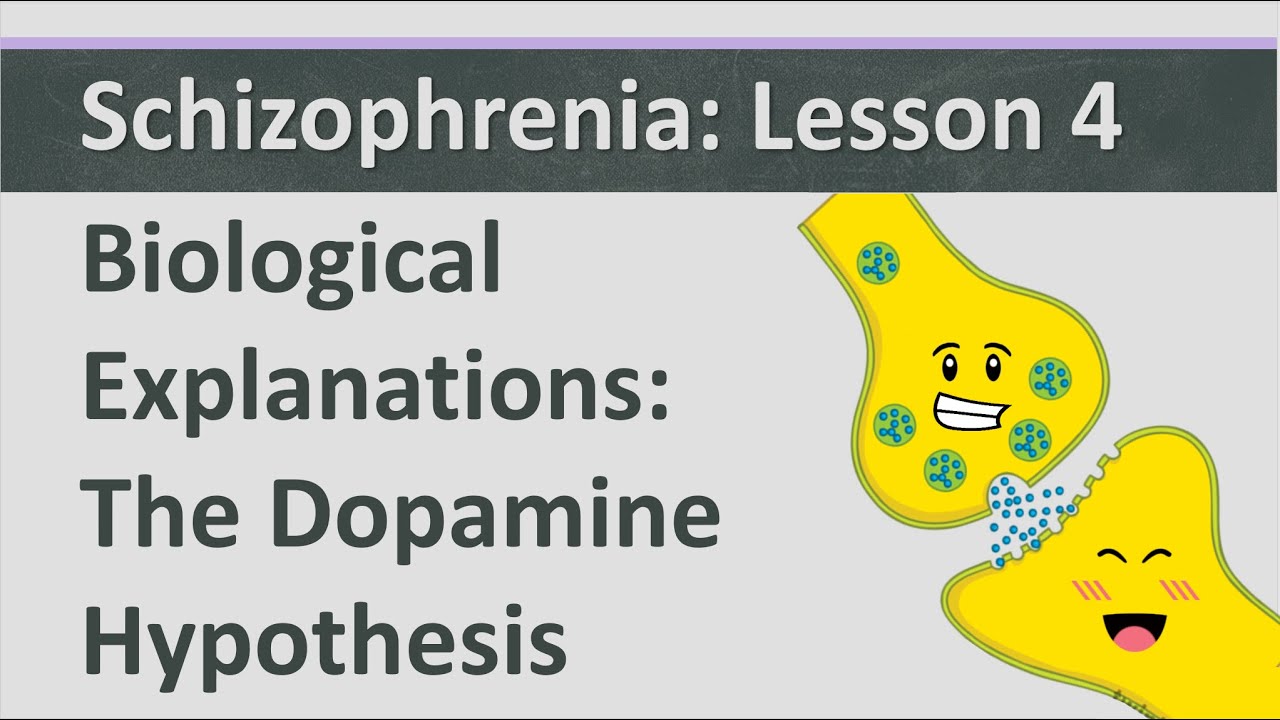 Schizophrenia: Lesson 4 - Biological Explanations - The Dopamine Hypothesis