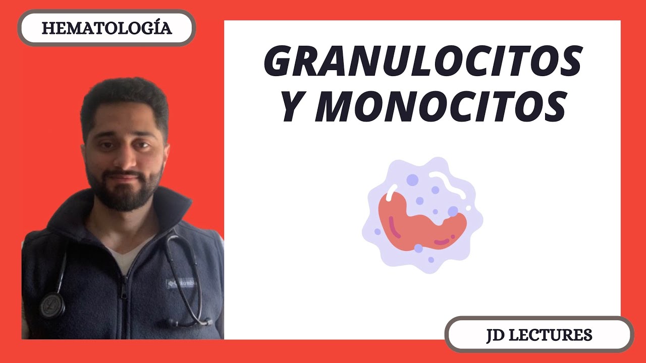 GRANULOCITOS Y MONOCITOS | HEMATOLOGÍA