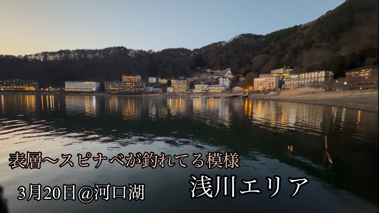 〜河口湖バス釣り26‘〜浅川エリア夕方編【河口湖バス釣り】アルデDC