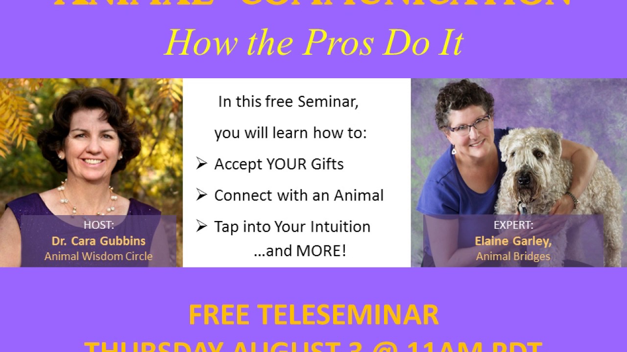 Animal Communication - How the Pros Do It