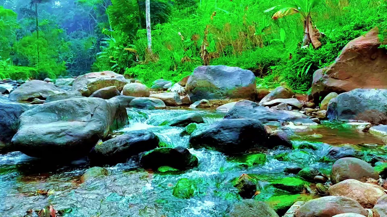 Natural River Water Sounds for Deep Sleep and Stress Free Night Rest