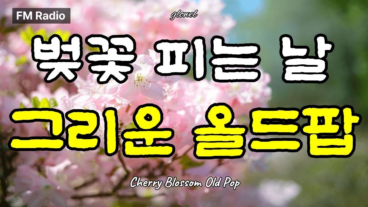 벚꽃 피는 날 그리운 올드팝 | Cherry Blossom Old Pop 🌸✨