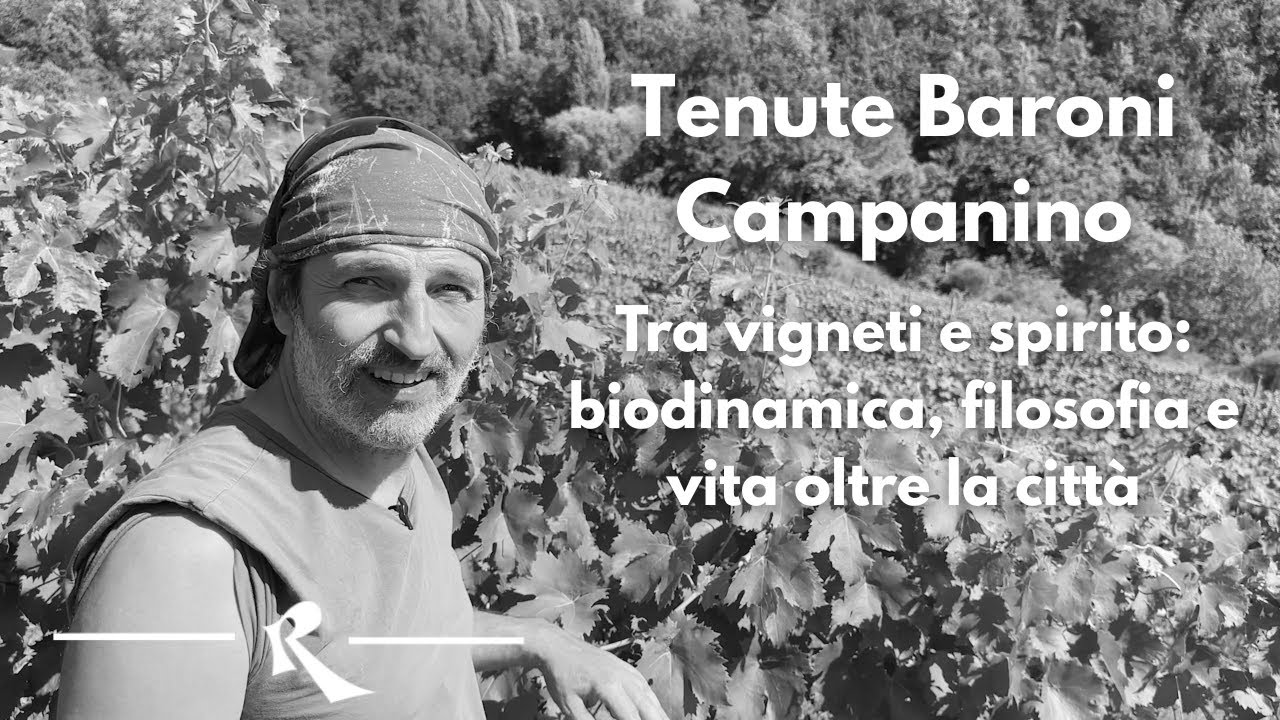 Tenute Baroni Campanino - Tra vigneti e spirito