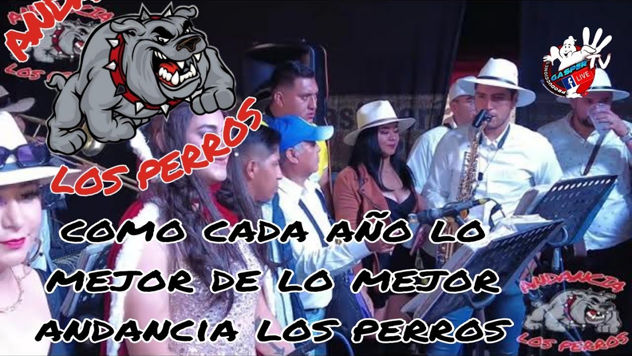 ANDANCIA LOS PERROS COMO CADA AÑO LUCHANDO PARA QUE NO MUERA ESTA VIEJA TRADICCION SAN SEBASTIAN