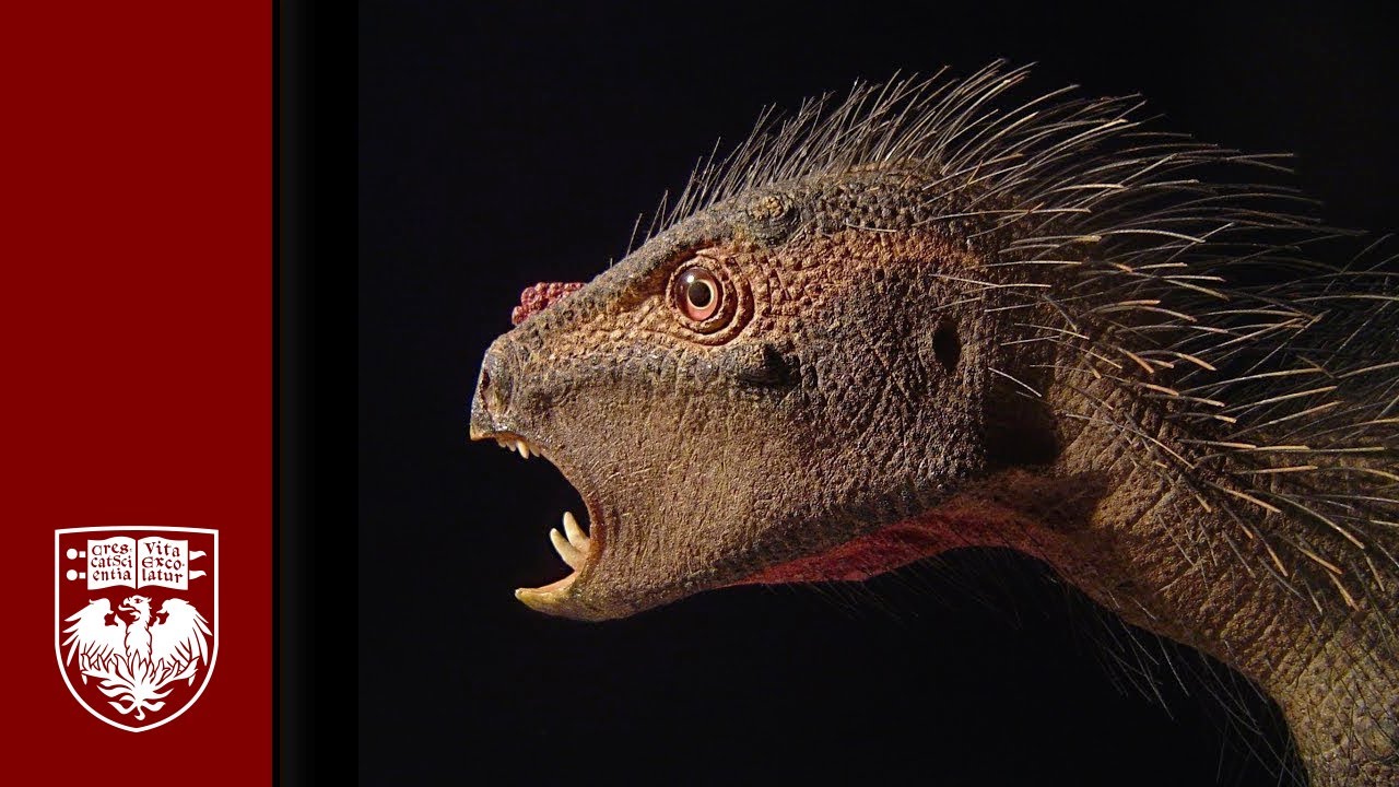 Making a Heterodontosaurus Flesh Model, Paul Sereno &mdash; Video & Sculpting by Tyler Keillor