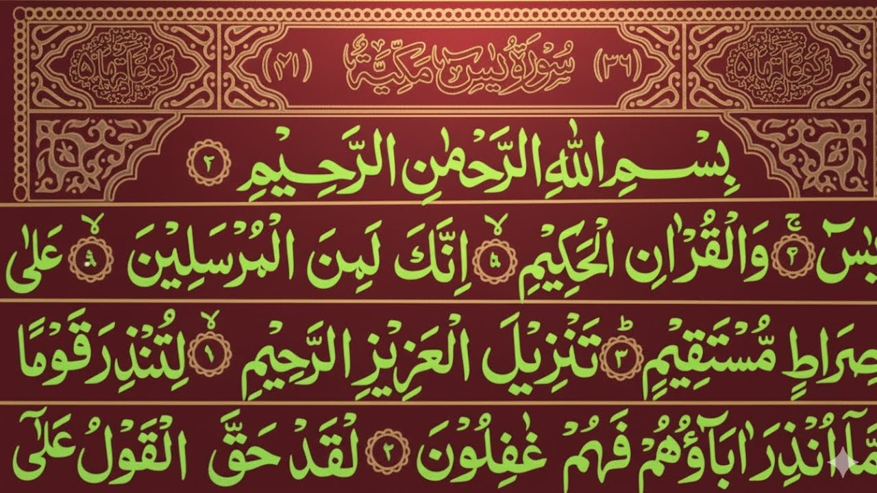 Surah Yasin ☘️ Surah Ar Rahman | 🎤🕊️ Beautiful Qur'an Recitation | Surah Yasin Tilawat | Surah Mulk 