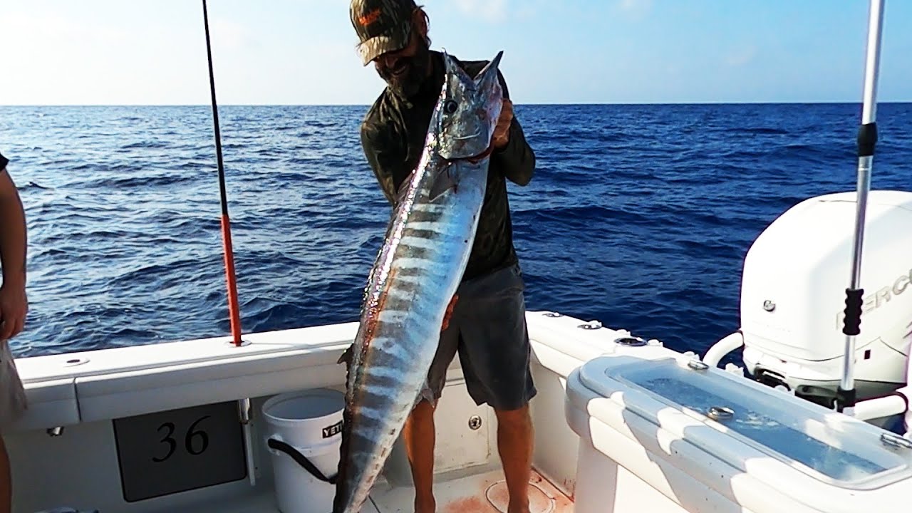 We Are Back!  Wahoo Catch Clean and Cook | Pully Ridge Deep Dropping!