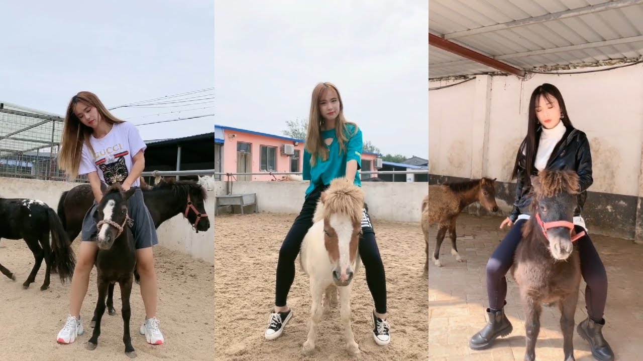 美女骑小马...beautiful girl riding a pony