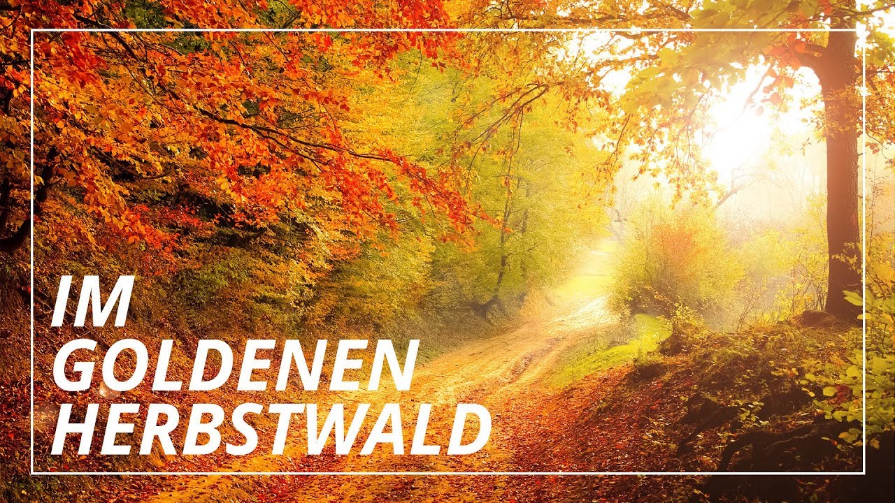 Fantasiereise: Goldener Herbsttag | Geborgenheit & Leichtigkeit