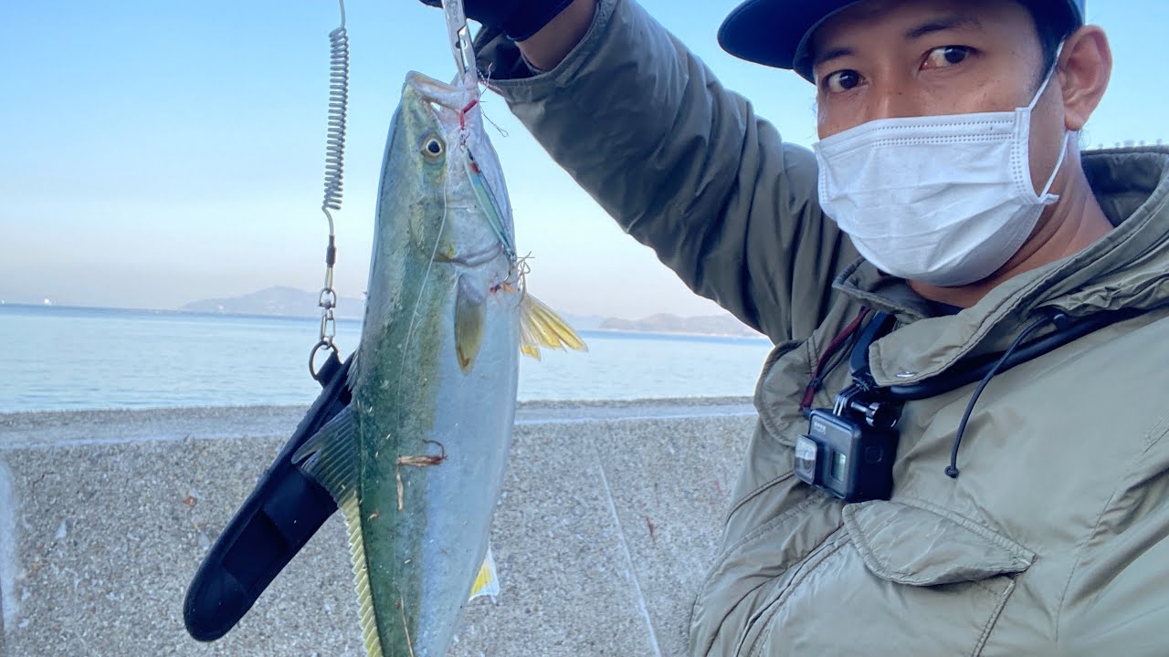 How to catch yellowtail amberjack |Slow pitch shore jigging