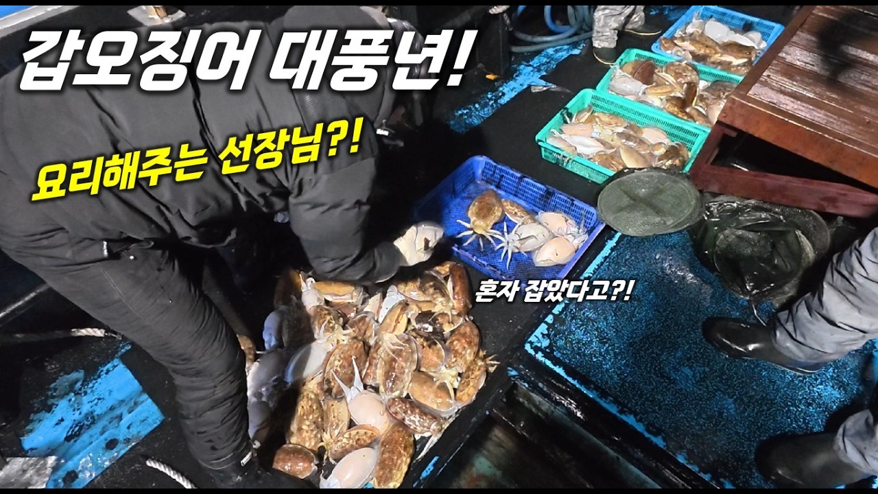 심해갑오징어 낚시 채비 넣으면 바로 입질! 제주 바닥에 갑오징어가 바글바글합니다!
