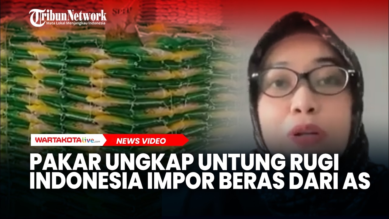 Pakar Ungkap Untung Rugi Indonesia Impor Beras 1000 Ton dari AS