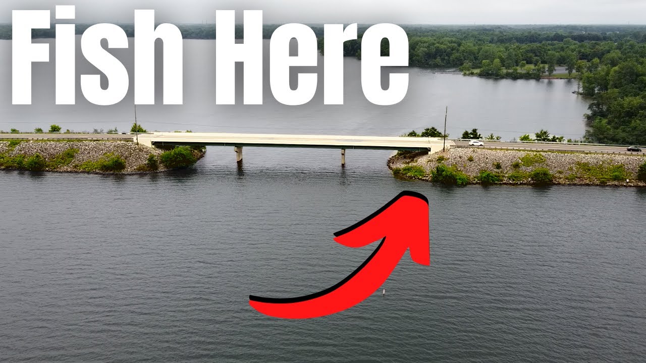 BANK Fishing In BIG LAKES (Surprise GIANT)