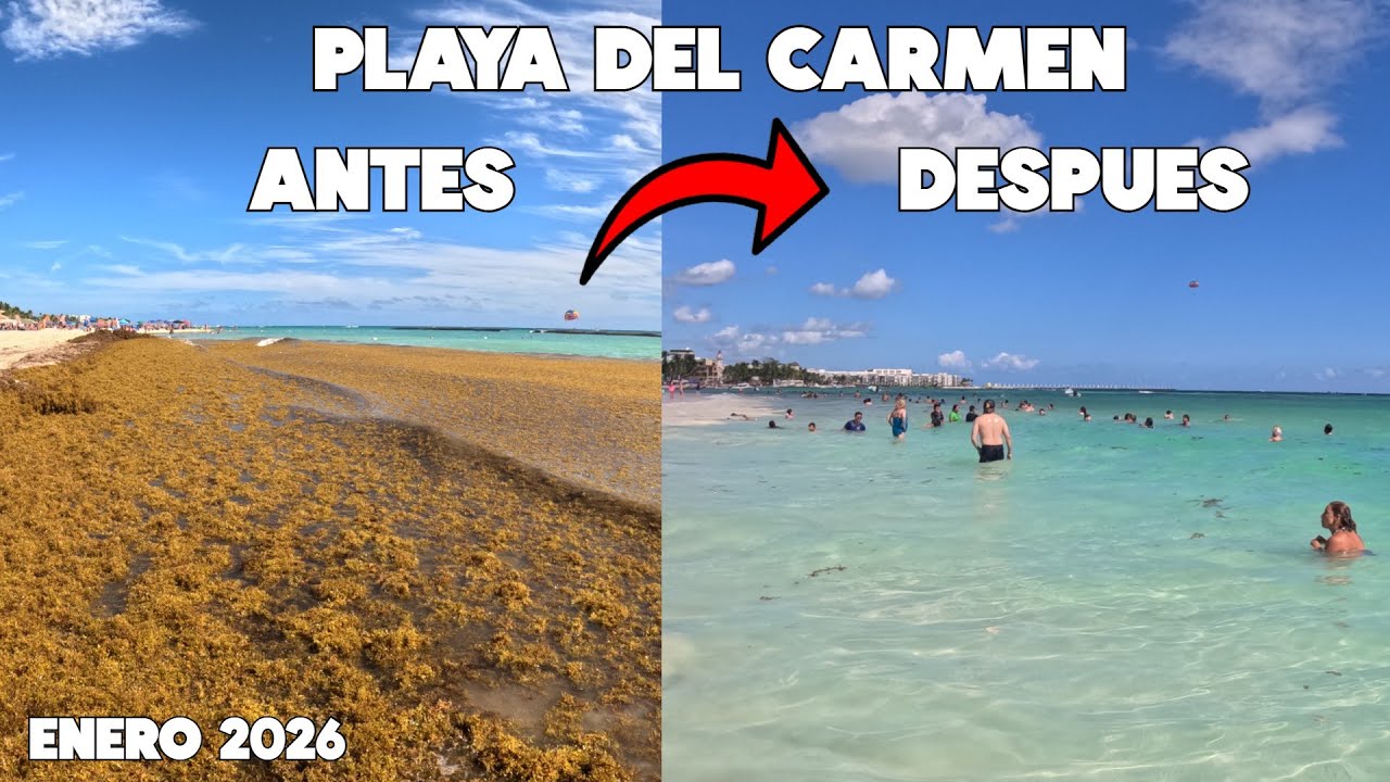 PLAYA DEL CARMEN🔴ACTUALIZACION PLAYACAR 11 ENERO 2026