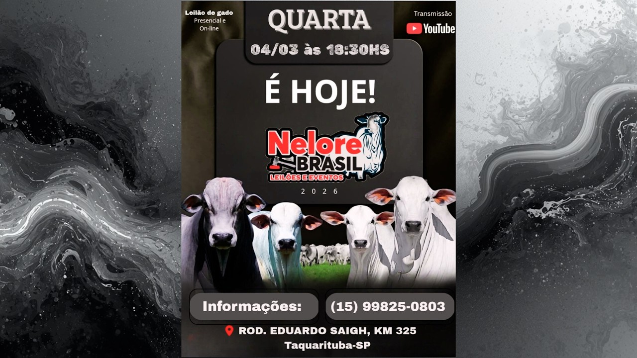 9° LEILÃO DE GADO - 04/03/2026 - Nelore Brasil Leilões e Eventos -  TAQUARITUBA/SP #agro #aovivo