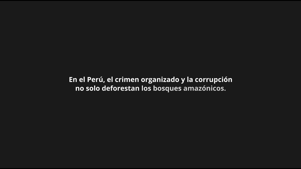 Presentación de cuatro casos de corrupción y violación de derechos humanos ante la CIDH