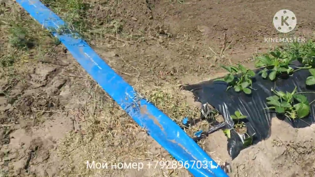 Обзор нового участка
