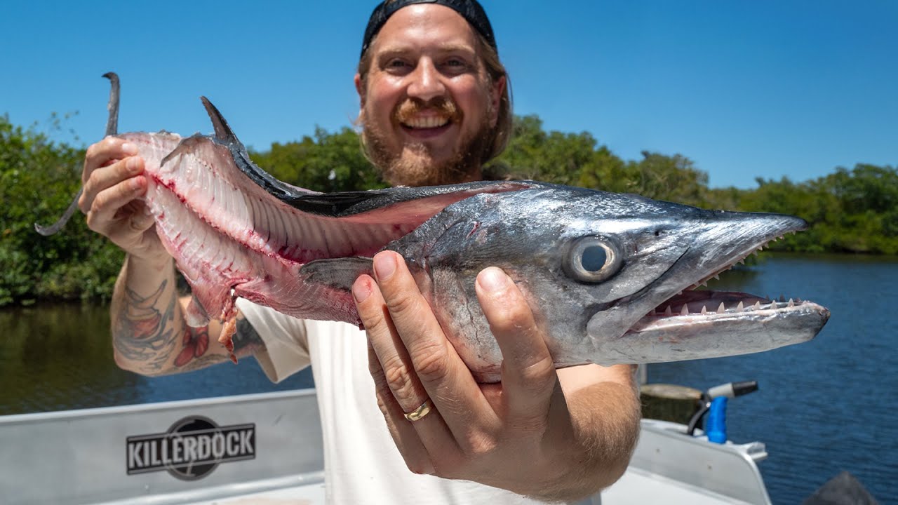 My All Time Favorite Mackerel to Eat Raw