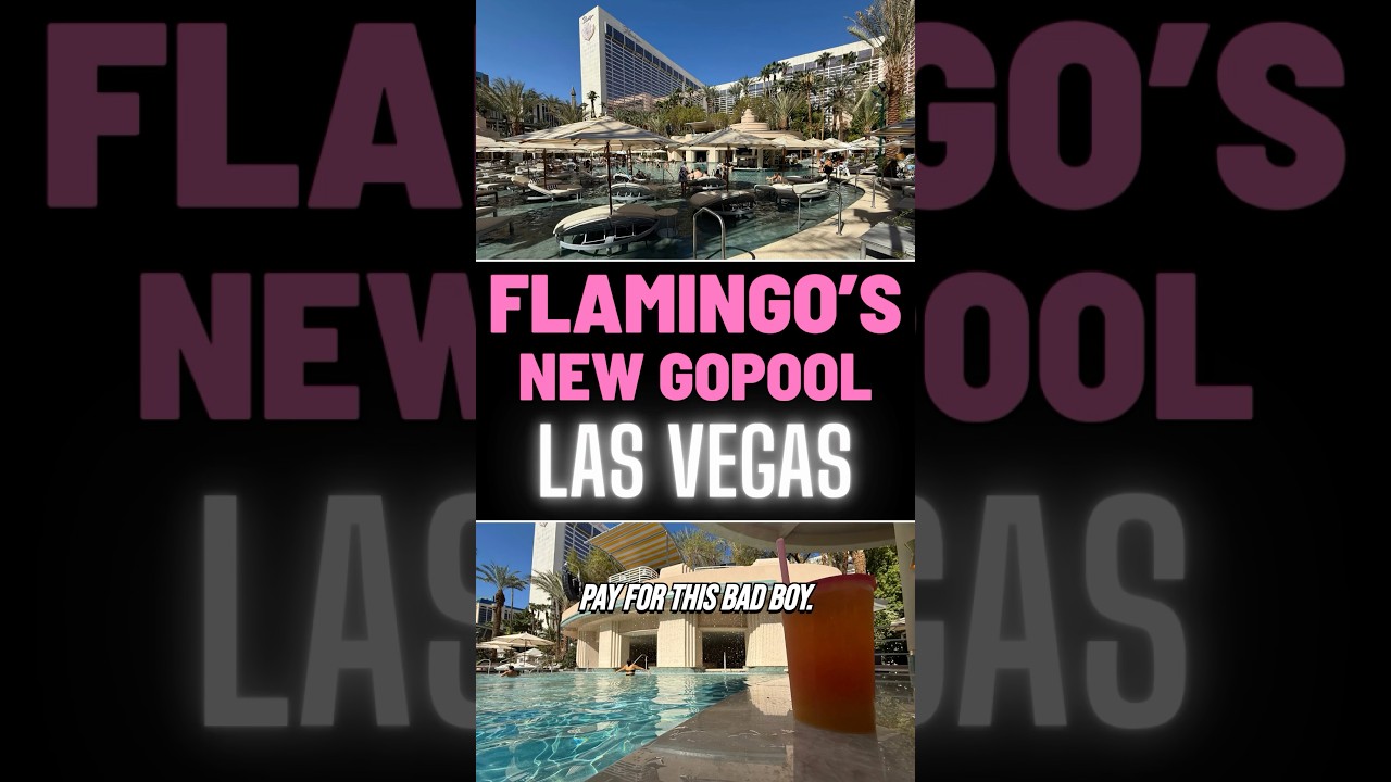 *НОВЫЙ* GoPool от Flamingo Las Vegas (и коктейль за 51 доллар?!)
