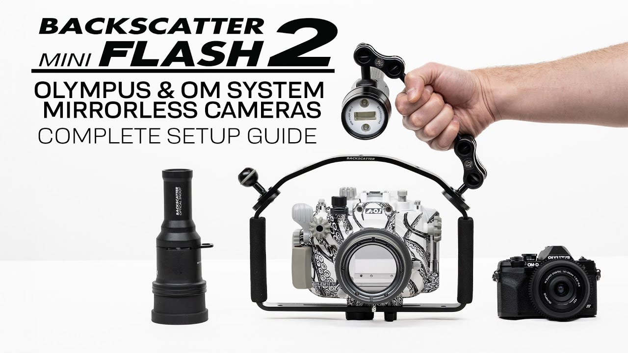 How To Use Mini Flash 2 with Olympus Mirrorless Cameras #miniflash2 #olympus #underwaterphotography