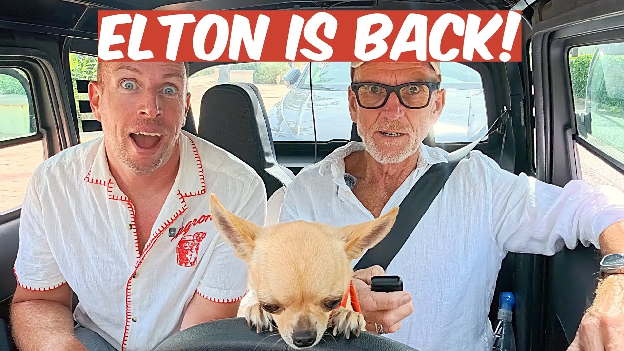 New Citroen Ami Channel Plans REVEALED! 🇫🇷🚙🇮🇹