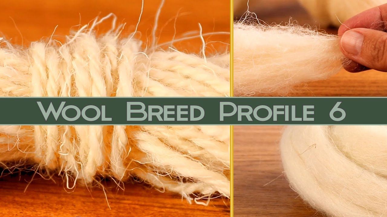 Hand Spinning Different Breeds: Southern Welsh Mountain Wool.