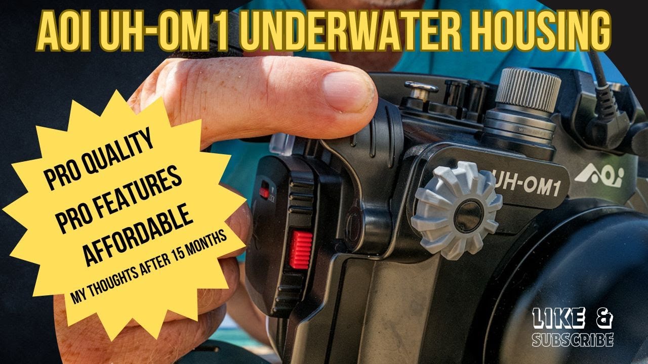 Underwater Photography with the AOI UH-OM1 Housing for the OM System OM1 Camera by Andrew McLachlan