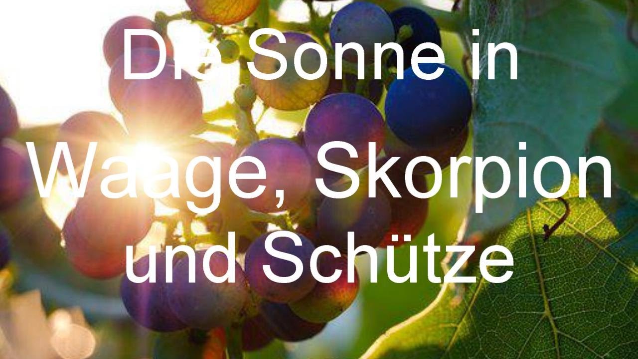 Die Sonne in den Zeichen Waage, Skorpion und Schütze #astromonie #sternzeichen #horoskop